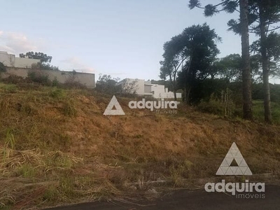 Terreno em Estrela, Ponta Grossa/PR de 10m² à venda por R$ 338.000,00