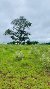 Terreno / Lote / Condomínio à venda, 500m² - Jardim Planalto do Tanque