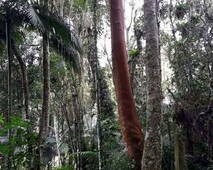 Área para chácara em Juquitiba SP com Registro de imóveis