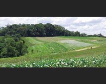 Terreno a venda em Cotia-SP