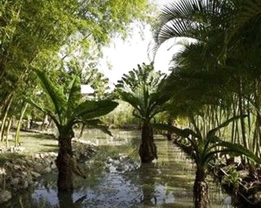 Condomínio Pedra Verde Maricá - Venha morar cercado da natureza!