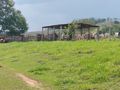Fazenda em Zona Rural, São Sebastião Do Paraíso/MG de 275880m² 2 quartos à venda por R$ 1.499.000,00
