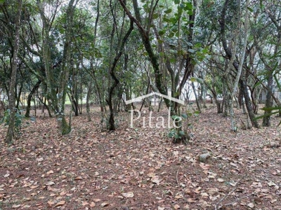 Terreno à venda, 1575 m² por r$ 960.000,00 - vila de são fernando - cotia/sp