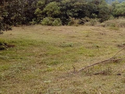 Terreno em Araponguinhas, Timbó/SC de 29772m² à venda por R$ 598.000,00