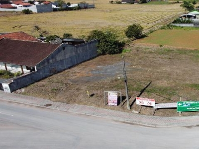 Terreno em Centro, Doutor Pedrinho/SC de 888m² à venda por R$ 298.000,00