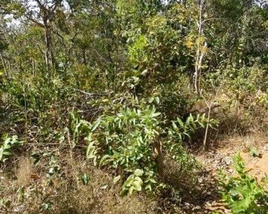 Lote de 500m a1km do asfalto próximo a baldim