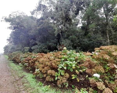 Terreno no Alpes de São Francisco, em São Francisco de Paula!