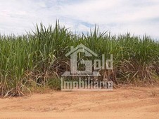 Sítio à venda no bairro Zona Rural em Ibaté