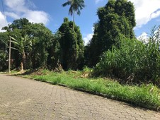 Terreno à venda no bairro Morro São João em Cananéia