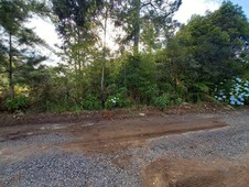 Terreno à venda no bairro Serra Velha em São Francisco de Paula