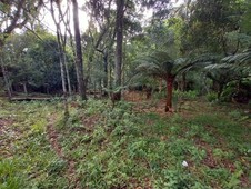 Terreno à venda no bairro Serra Velha em São Francisco de Paula