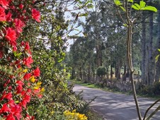 Terreno em condomínio à venda no bairro Cipó em São Francisco de Paula