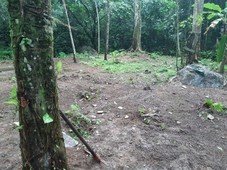 Terreno á venda na Praia de Maresias