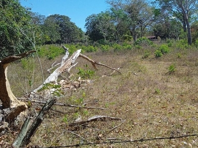 Fazenda em Santa Cecilia, Goianésia/GO de 100m² 3 quartos à venda por R$ 5.999.000,00