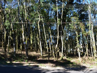 Terreno em Floresta, Gramado/RS de 800m² à venda por R$ 681.000,00