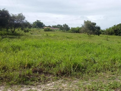 Terreno em Lagoa Do Bonfim, Nísia Floresta/RN de 0m² à venda por R$ 238.000,00