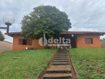 Casa para aluguel, 3 quartos, 1 suíte, 3 vagas, cidade jardim - uberlândia/mg