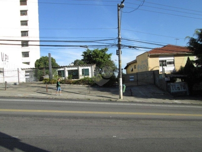 Terreno à venda ou para alugar em Vila Romana - SP