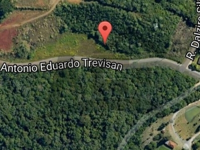 Terreno de 3.8 hectares pra torrar