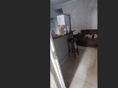Alugo Apartamento Vila Planalto-DF