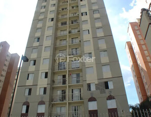 Apartamento 3 dorms à venda Rua Alexandre Levi, Cambuci - São Paulo