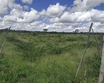 Terreno retiro coração de Maria