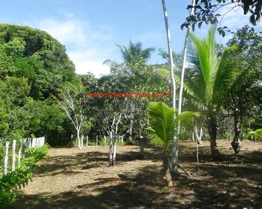 Terreno com 1.735 m² - Itacaré/BA - 