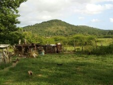 Terreno à venda no bairro Itapuã em Viamão