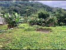 Terreno no Bairro Fortaleza em Blumenau com 420 m²