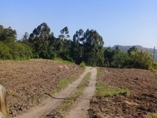 Chácara à venda no bairro Zona Rural em Sentinela do Sul