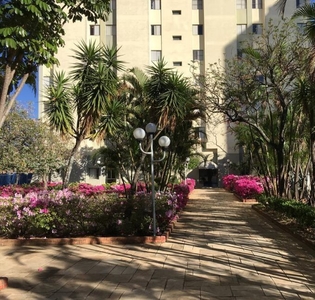 Apartamento em Vila Granada, São Paulo/SP de 65m² 3 quartos à venda por R$ 404.000,00