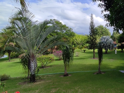Chácara em Ilhas Verdes, Guarapari/ES de 20000m² 1 quartos à venda por R$ 1.499.000,00
