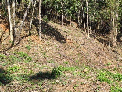 Terreno em Granja Guarani, Teresópolis/RJ de 0m² à venda por R$ 239.000,00