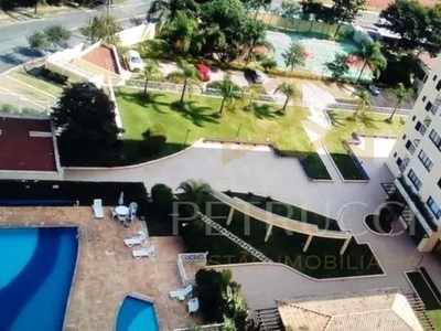 apartamento - Jardim dos Oliveiras - Campinas