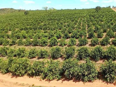 Fazenda com 3 quartos à venda no bairro Zona Rural, 2008600m²