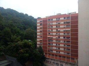 Studio em Laranjeiras, Rio de Janeiro/RJ de 30m² 1 quartos à venda por R$ 229.000,00