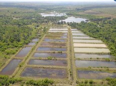 Tocantins Wanderlandia dupra aptidão criaçaõ de peixe , agricultura 1.153 hectares