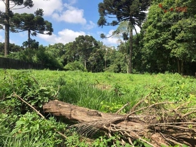 Terreno à venda, 2375 m² por r$ 2.802.000,00 - boqueirão - curitiba/pr