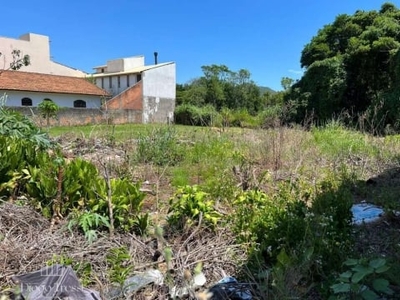 Terreno à venda no bairro ingleses do rio vermelho - florianópolis/sc