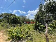 Terreno à venda no bairro Centro em Tibau do Sul