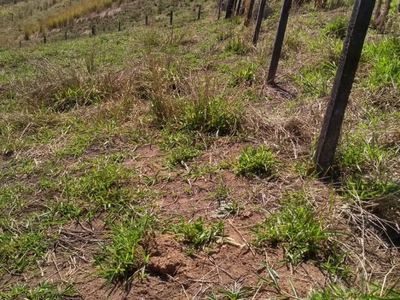 Atibaia : Terreno de 1000m2 em Atibaia, uma vista linda