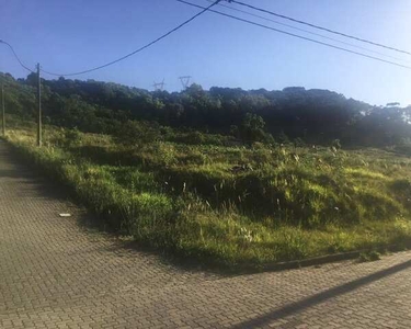CAXIAS DO SUL - Terreno Padrão - Monte Bérico