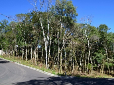 Terreno em Floresta, Gramado/RS de 859m² à venda por R$ 634.000,00