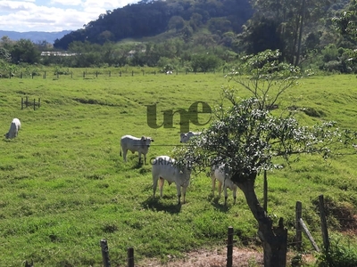 Terreno em Sul Do Rio, Santo Amaro Da Imperatriz/SC de 36000m² à venda por R$ 2.987.000,00