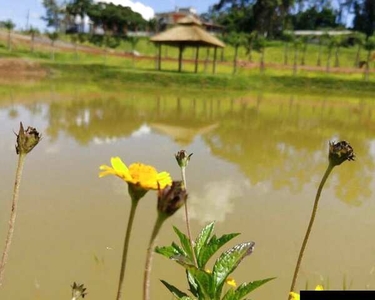 Terreno Reservas do Lago