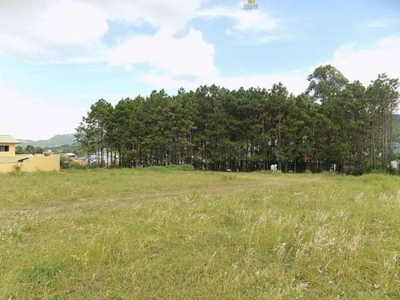 Oportunidade única! lindo terreno amplo à venda em garopaba-sc