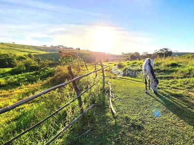 Fazenda em São Francisco De Assis, Matias Barbosa/MG de 10m² à venda por R$ 374.000,00