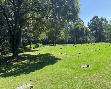 Terreno Cemitério Parque Iguaçu - Barigui