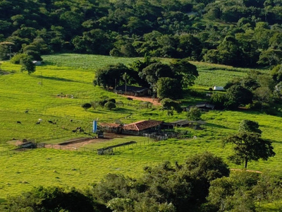 Fazenda Alto Padrao 150ha (30 Alqueires) - Brazlandia