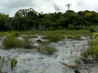 Fazenda / Sitio No Baixo Sul Da Bahia 15 Hectares, Localizada Na Ilha Do Timbuca Ba Proximo Ao Povoado De Pescadores Portinho.